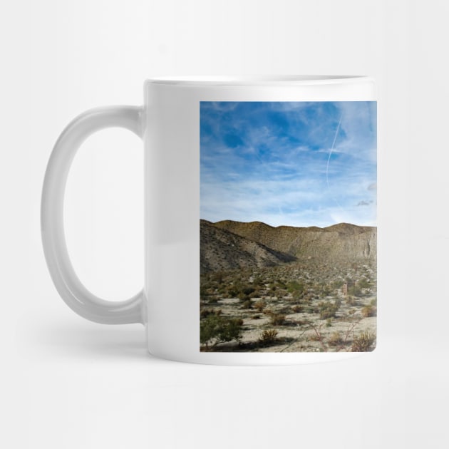 Anza Borrego Desert State Park by supernova23